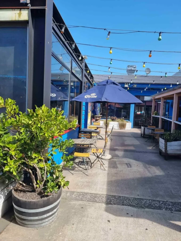 Commercial cleaners Christchurch