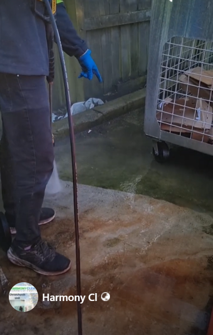 Moss cleaning from Driveway